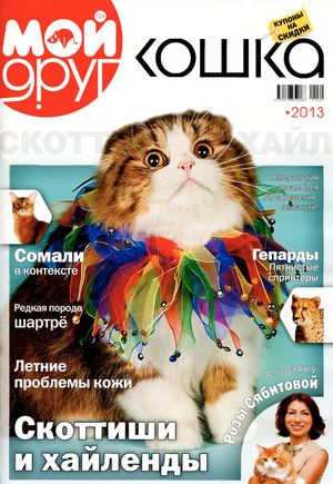 adaptatsiya koshek k prozhivaniyu s gryzunami mify i realnost