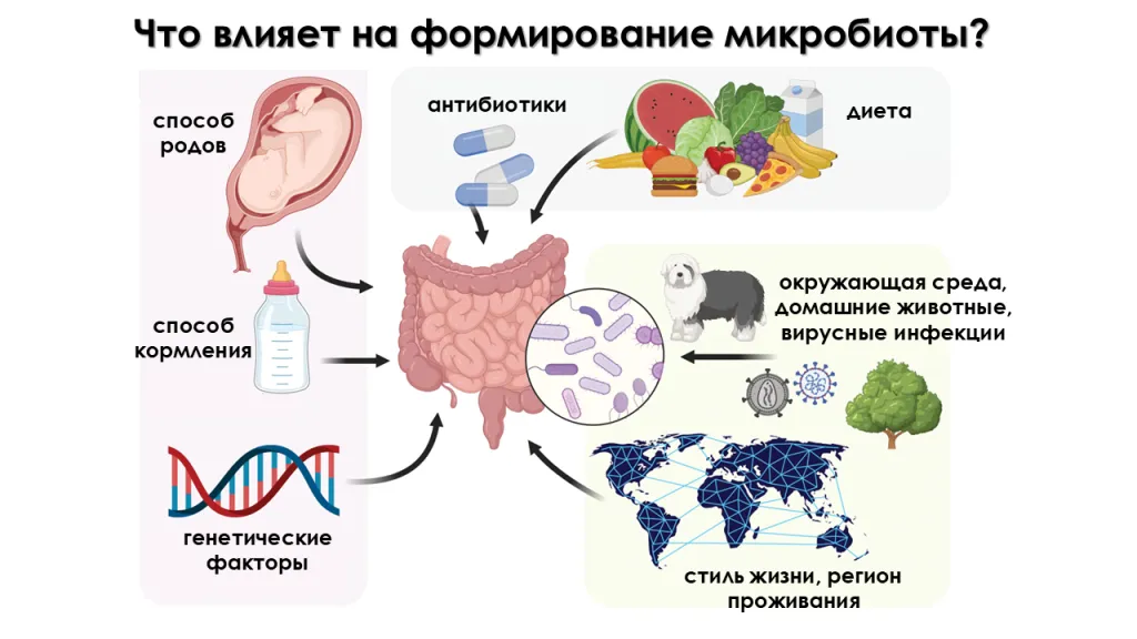 bezopasnaya sreda dlya koshki snizhenie stressa i povyshenie kachestva zhizni