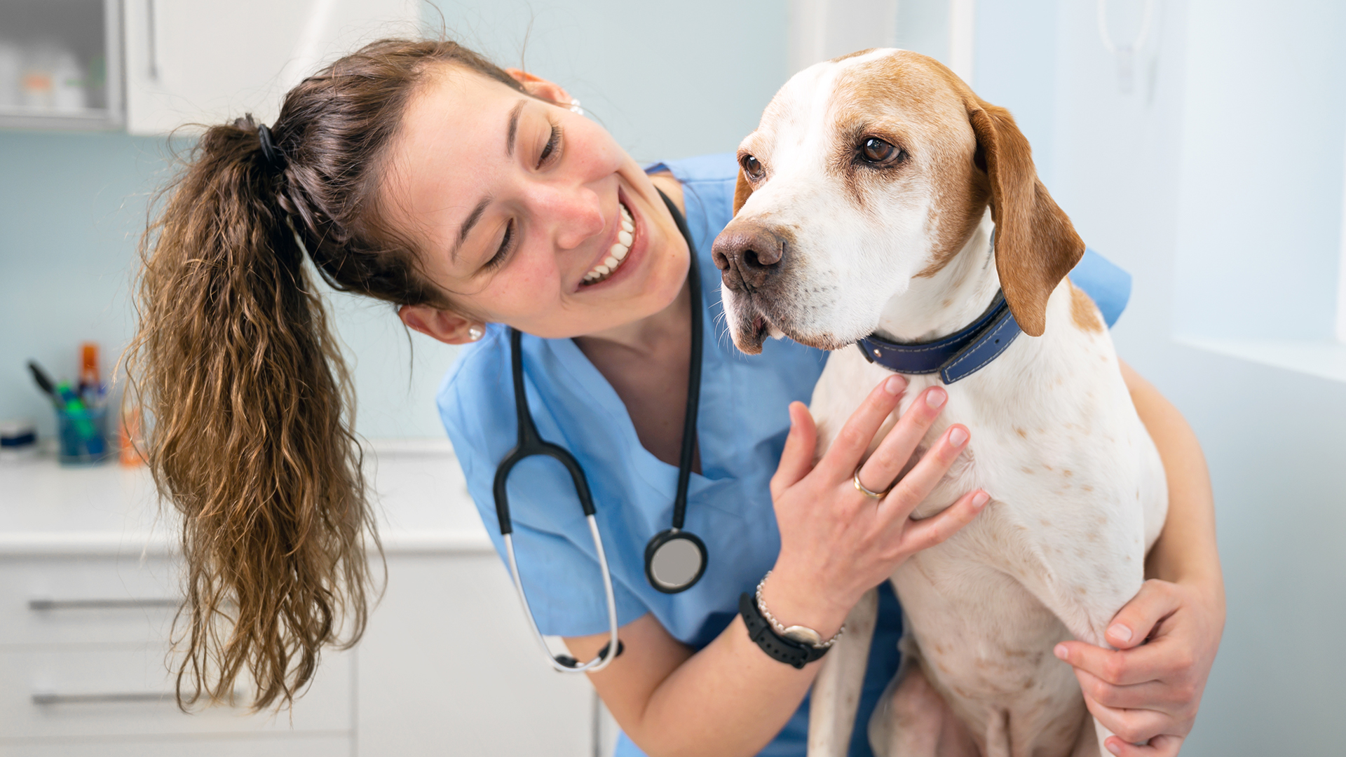 chto vzyat s soboy na priem k veterinaru polnyy spisok neobhodimyh veschey