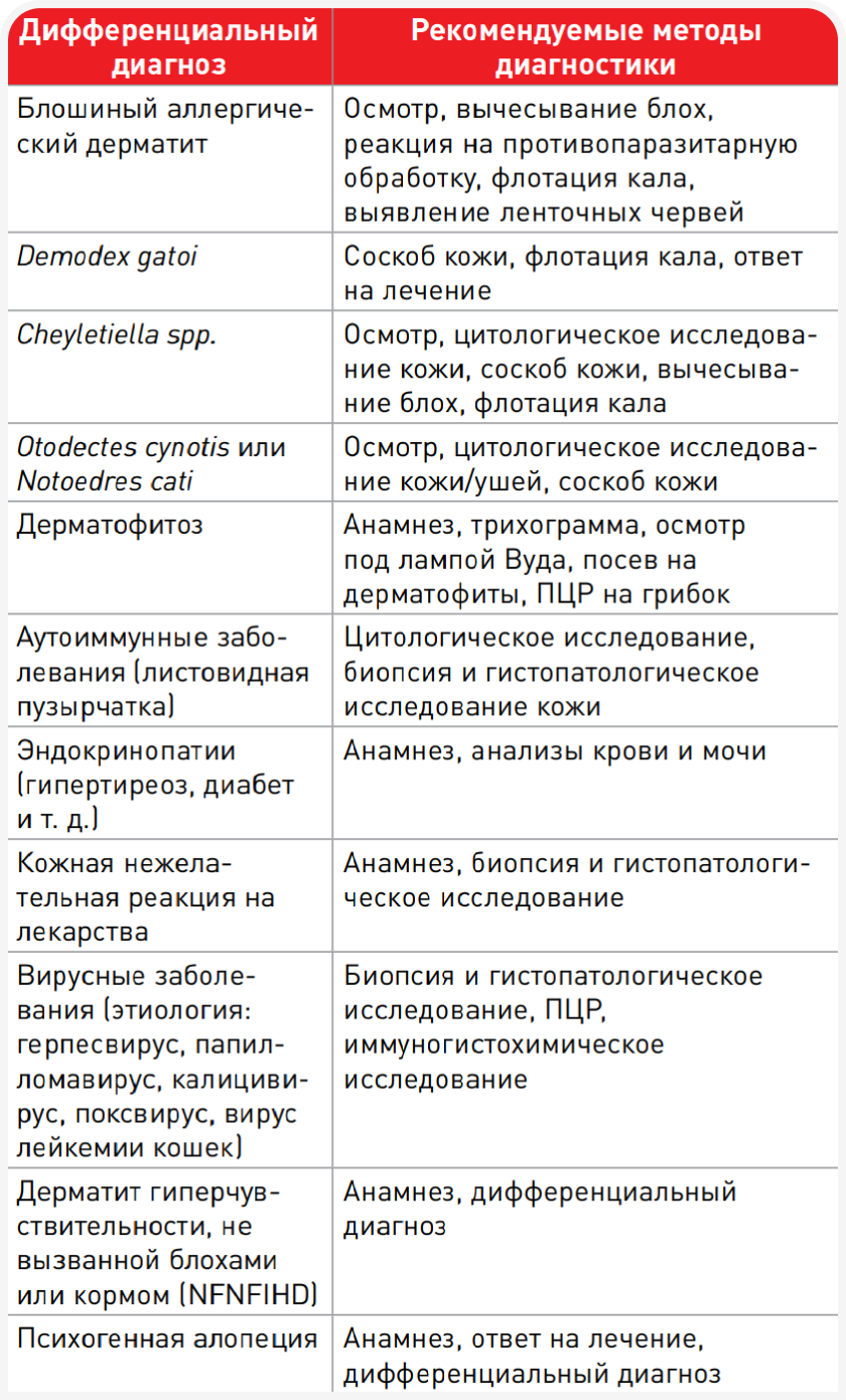 differentsialnaya diagnostika dermatitov u koshek polnoe rukovodstvo dlya veterinarov i vladeltsev