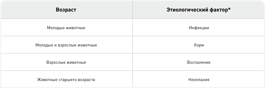 differentsialnaya diagnostika hronicheskoy diarei u koshek kompleksnyy podhod k lecheniyu