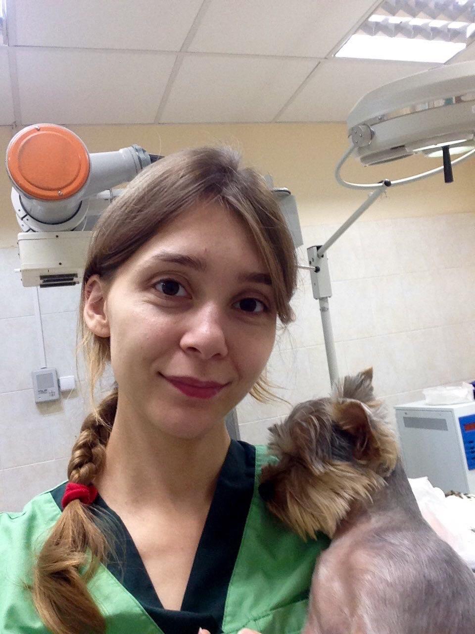 ekstrennaya veterinarnaya pomosch kak bystro nayti vracha