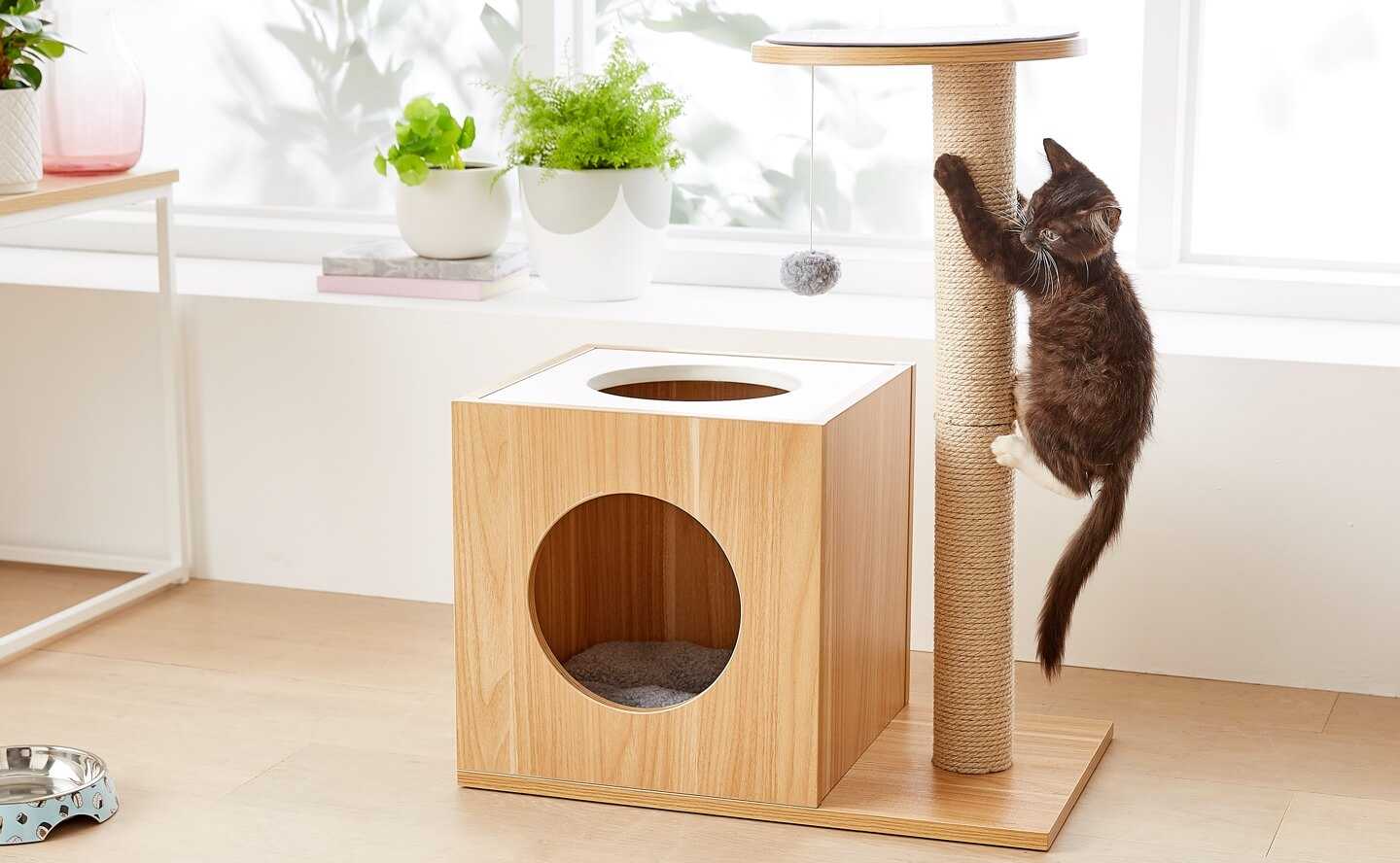ergonomichnye kogtetochki obzor sovremennyh modeley i materialov