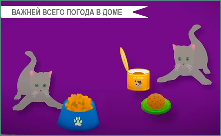 igry i trenirovki dlya snizheniya agressii u koshki put k mirnomu sosuschestvovaniyu