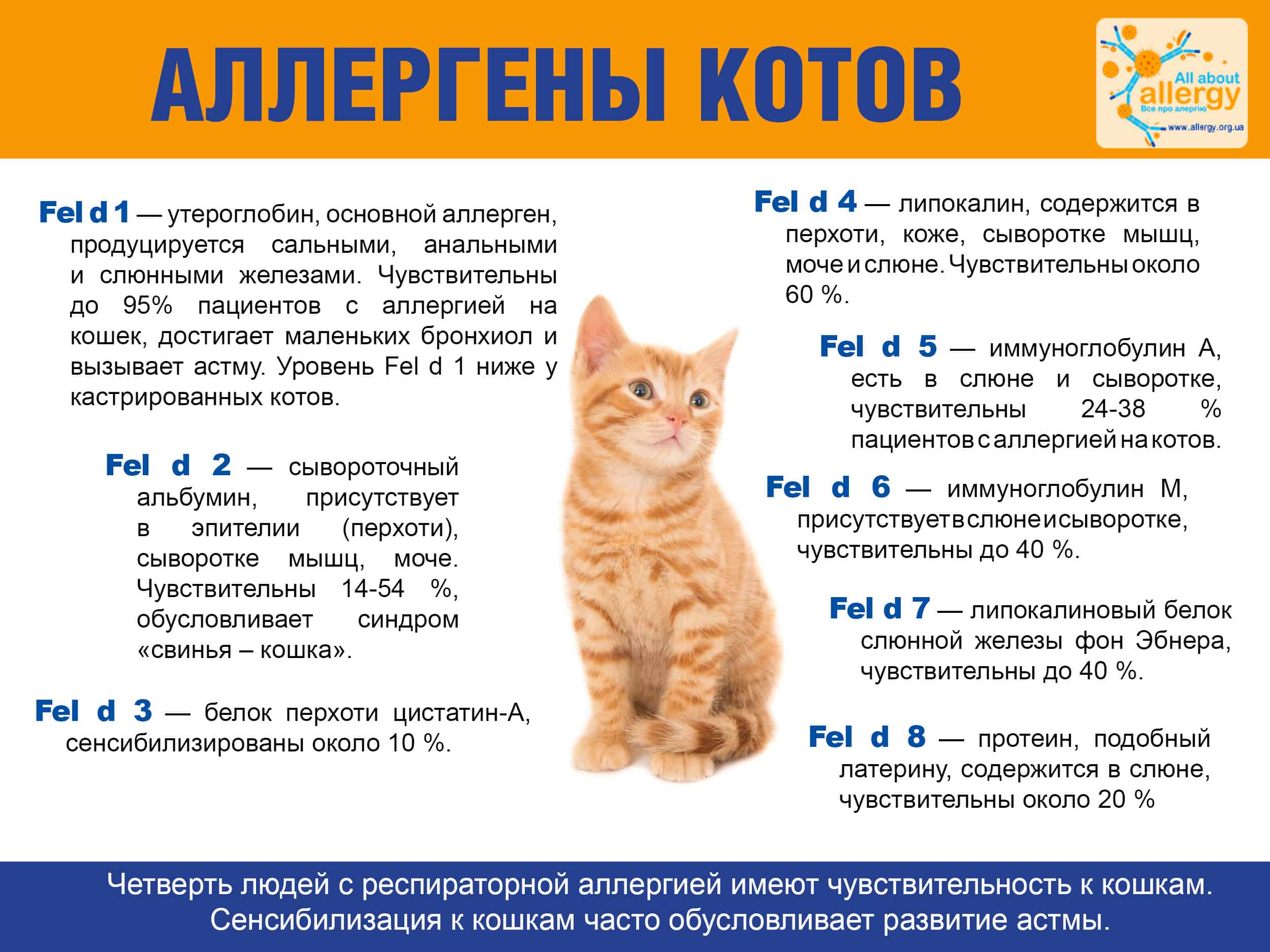 kak snizit risk allergii na koshku sovety dlya allergikov