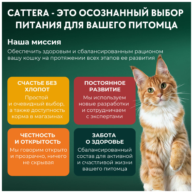 korm dlya sterilizovannyh koshek osobennosti i kriterii vybora