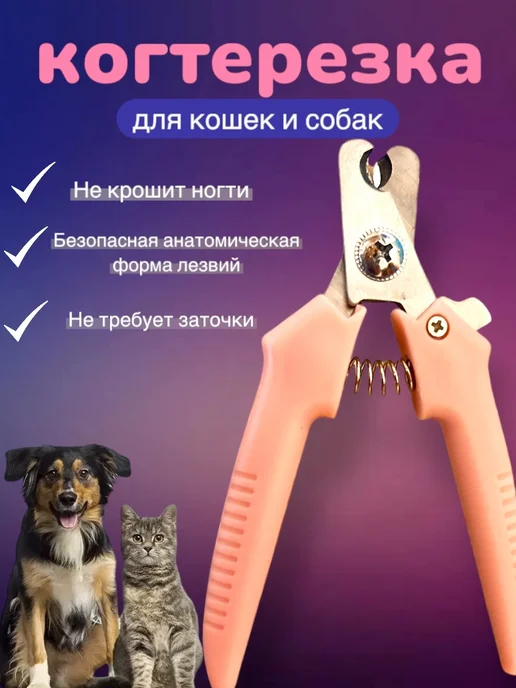luchshie instrumenty dlya obrezki kogtey u koshek polnyy gid dlya zabotlivyh vladeltsev