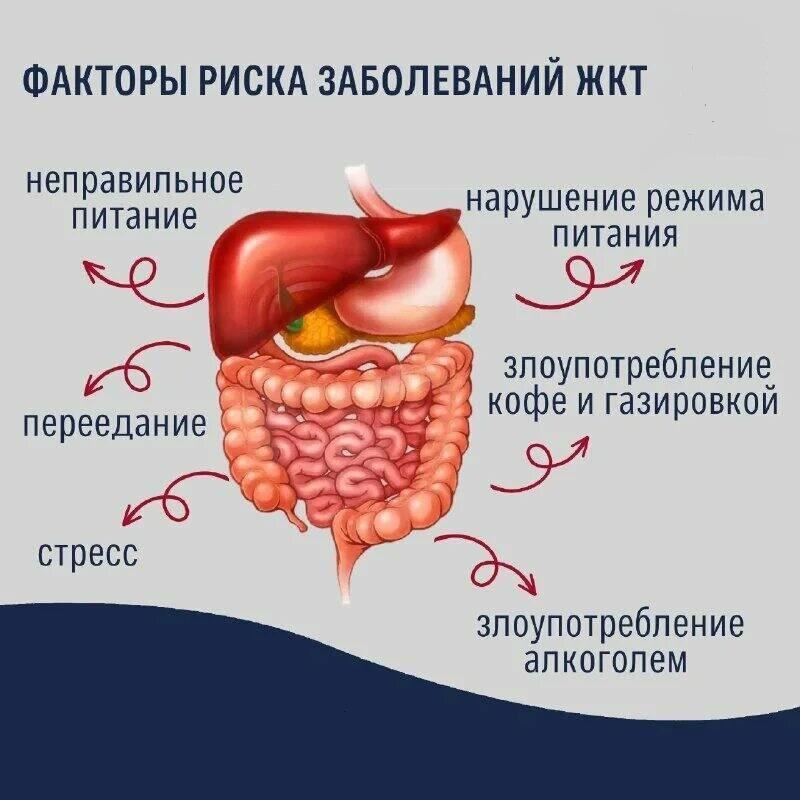 onkologicheskie zabolevaniya zheludochno kishechnogo trakta u koshek diagnostika lechenie i profilaktika