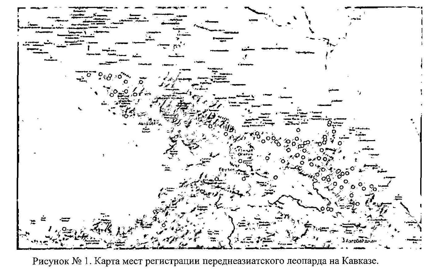 optimalnoe vremya dlya vyazki koshki kalendar i faktory vliyayuschie na uspeshnoe razmnozhenie