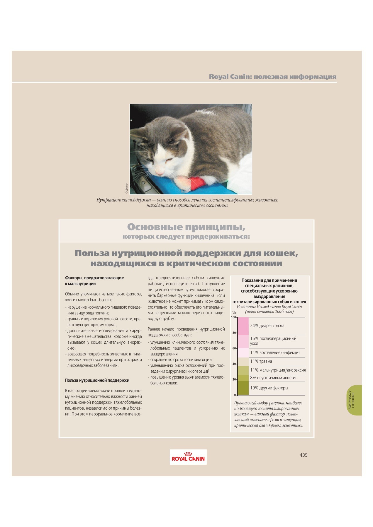 optimalnyy ratsion dlya kotenka otluchenie ot materi i perehod na samostoyatelnoe pitanie