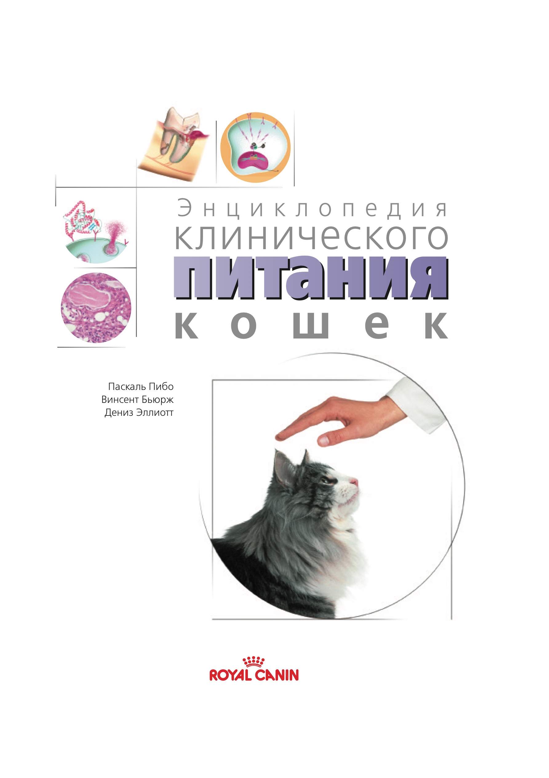 optimizatsiya prostranstva dlya koshki s uchetom eyo povedencheskih osobennostey