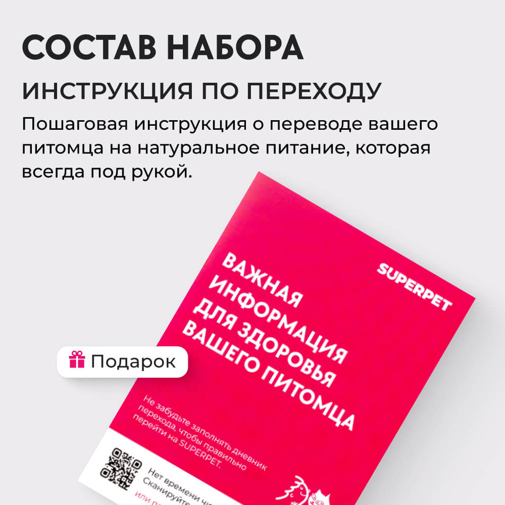 osnovnye printsipy zdorovogo pitaniya dlya kotyat putevoditel dlya zabotlivyh vladeltsev