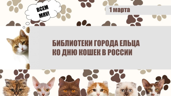 podgotovka k vystavke koshek polnyy gid dlya novichkov