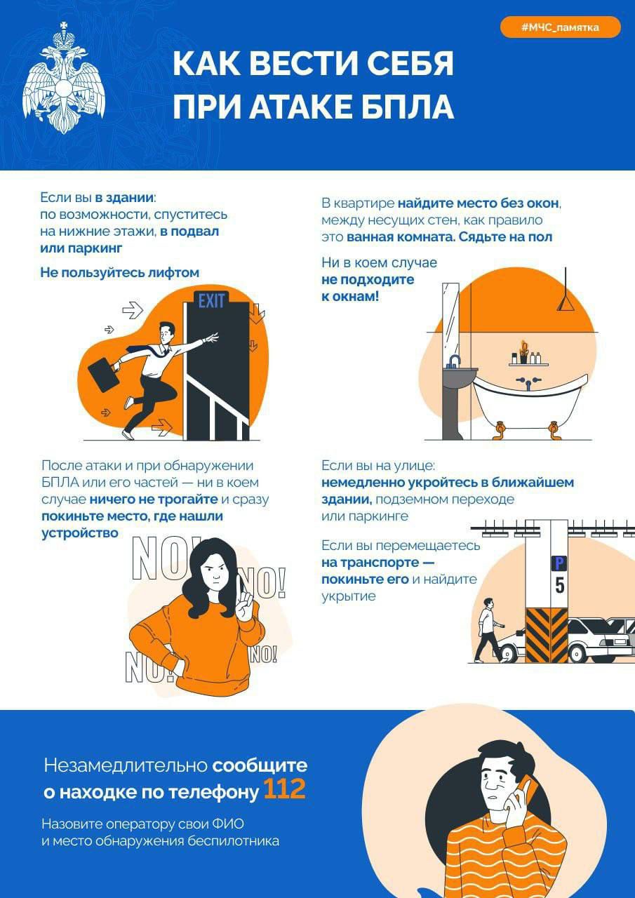 pravila povedeniya vo vremya priema u veterinara spokoystvie tolko spokoystvie