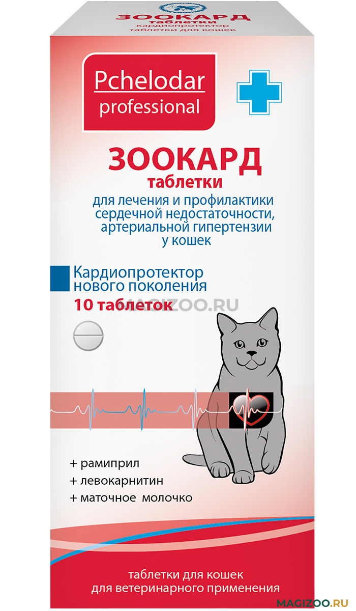 profilaktika i lechenie vozrastnyh zabolevaniy u koshek polnoe rukovodstvo