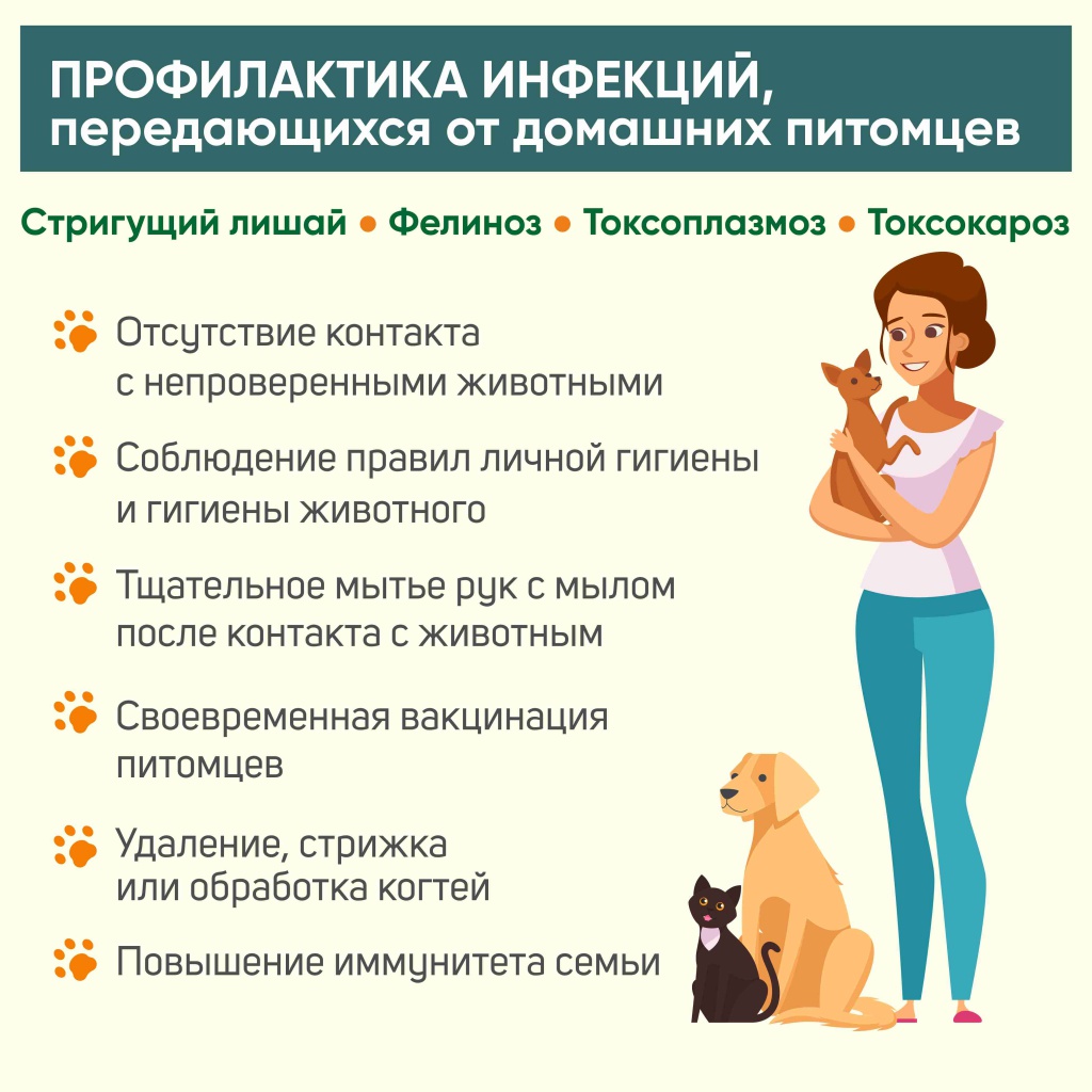 profilaktika parazitarnyh zabolevaniy u koshek vo vremya progulok