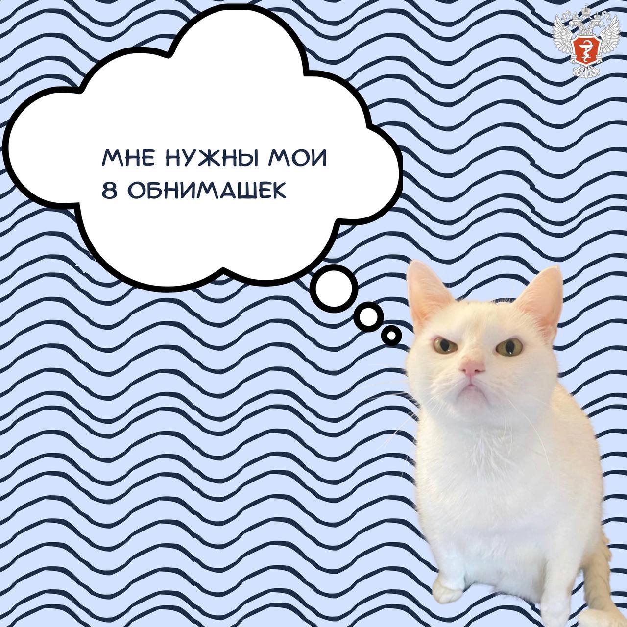 profilaktika stressa upravlenie trevozhnostyu koshki vo vremya vystavki