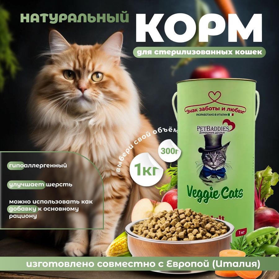 ratsion veganskoy koshki chto nuzhno znat