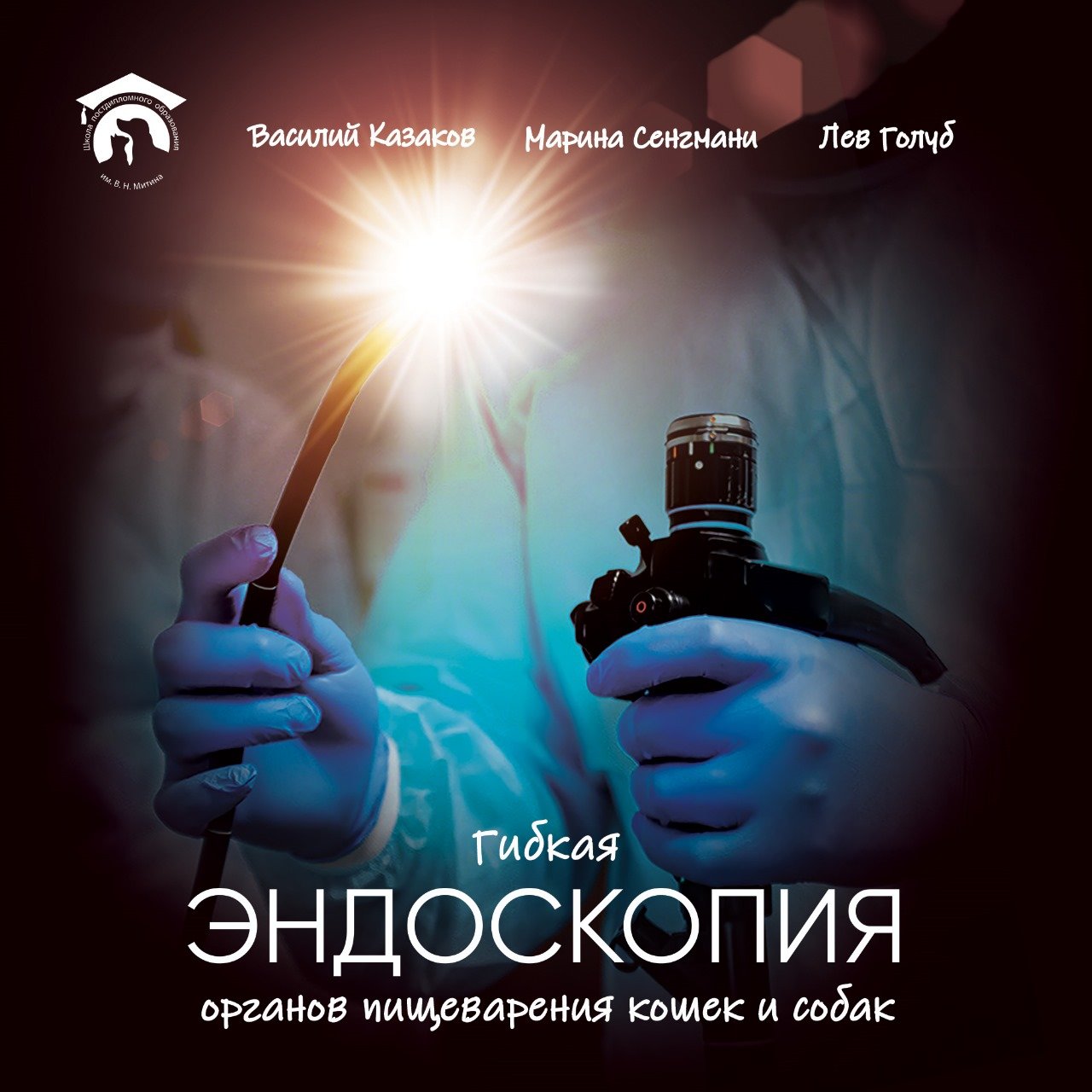 razrabotka individualnoy programmy obucheniya dlya vashey koshki poshagovoe rukovodstvo