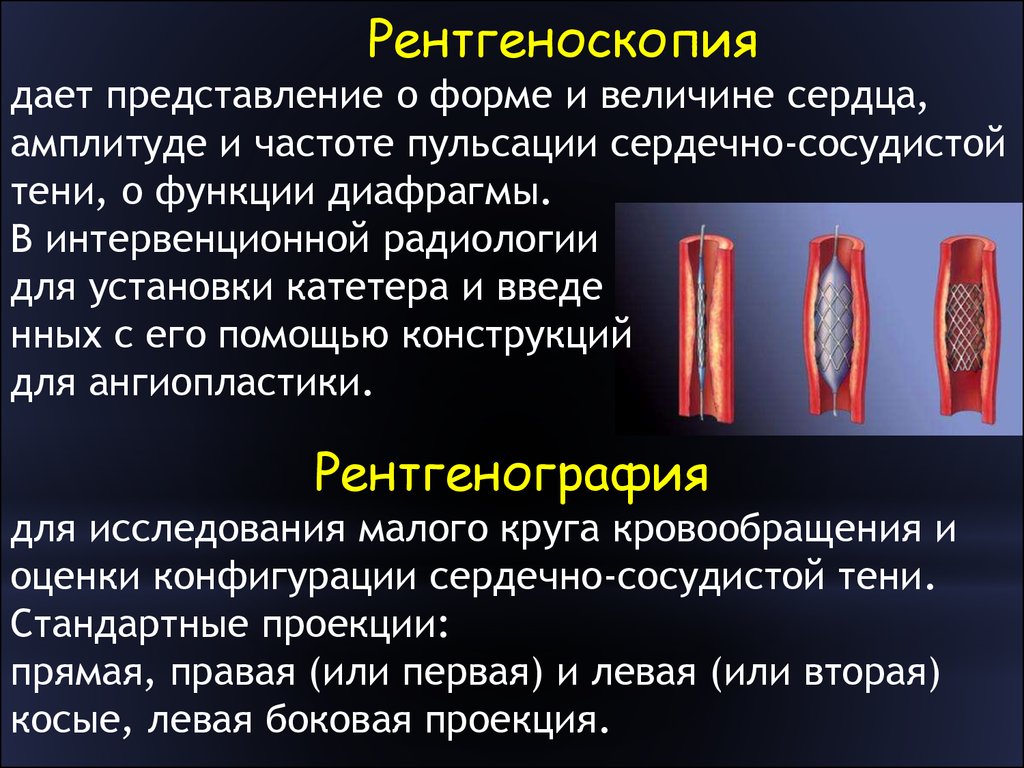 rol ultrazvukovogo issledovaniya v diagnostike zabolevaniy serdechno sosudistoy sistemy koshek