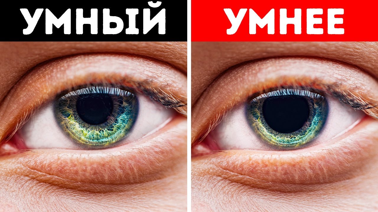 sekrety koshachego vzglyada rasshirennye ili suzhennye zrachki