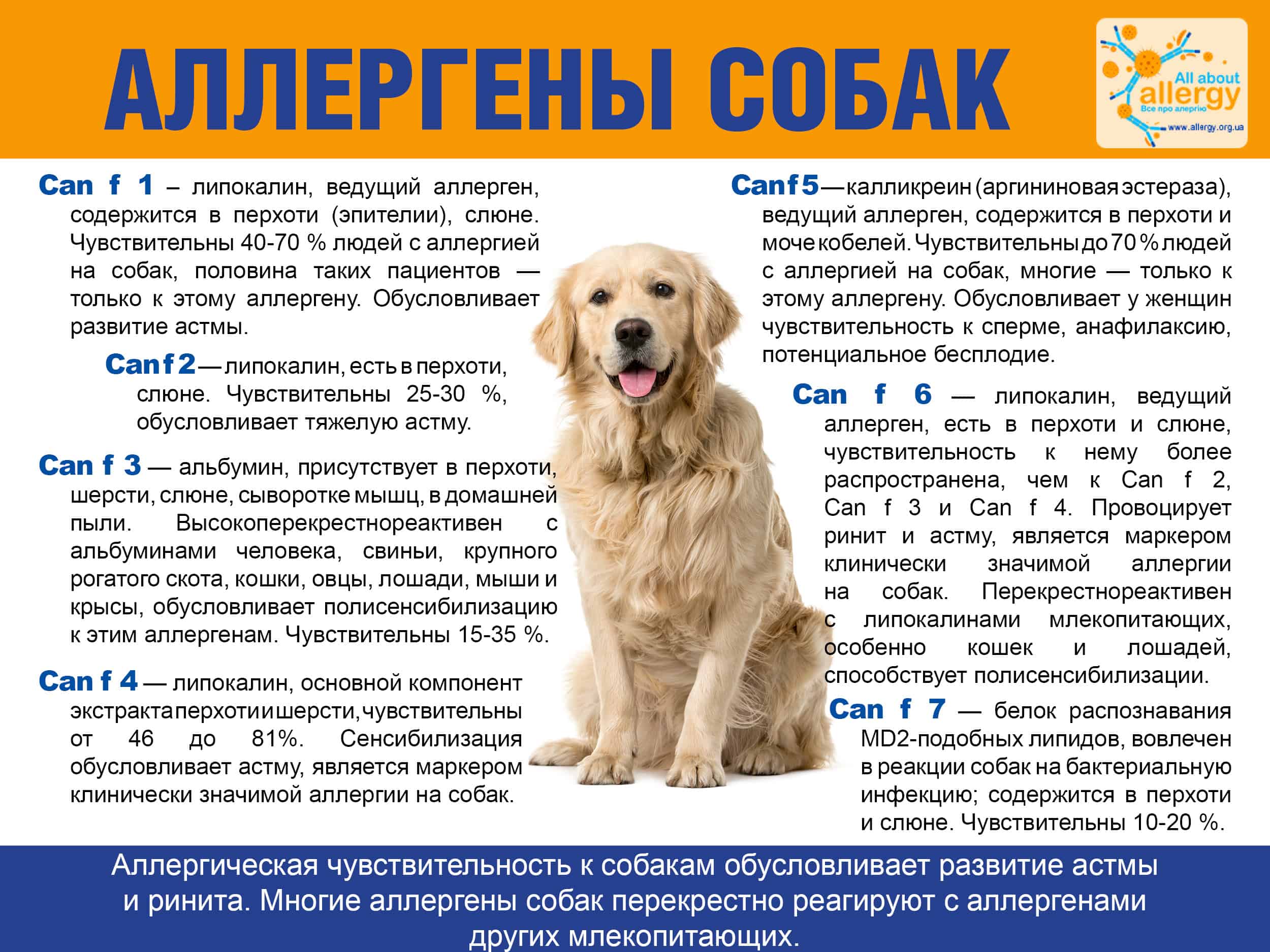 simptomy allergii na koshek otlichiya ot drugih allergenov