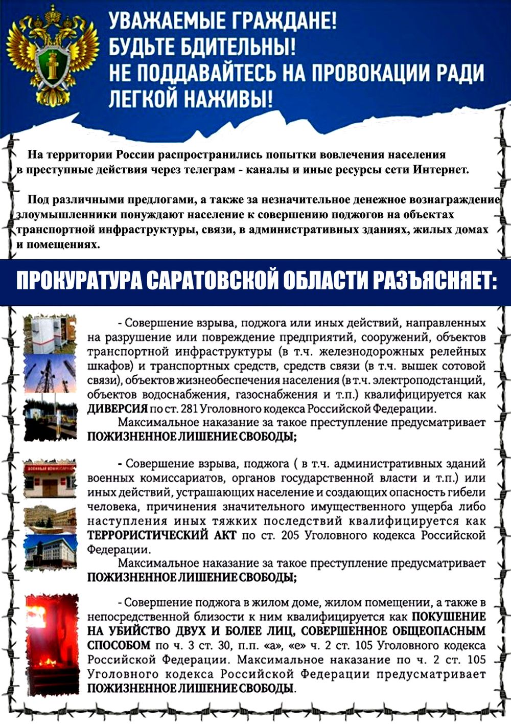 sotsialnaya adaptatsiya s pomoschyu koshki pushistyy drug kak klyuch k uspeshnoy integratsii