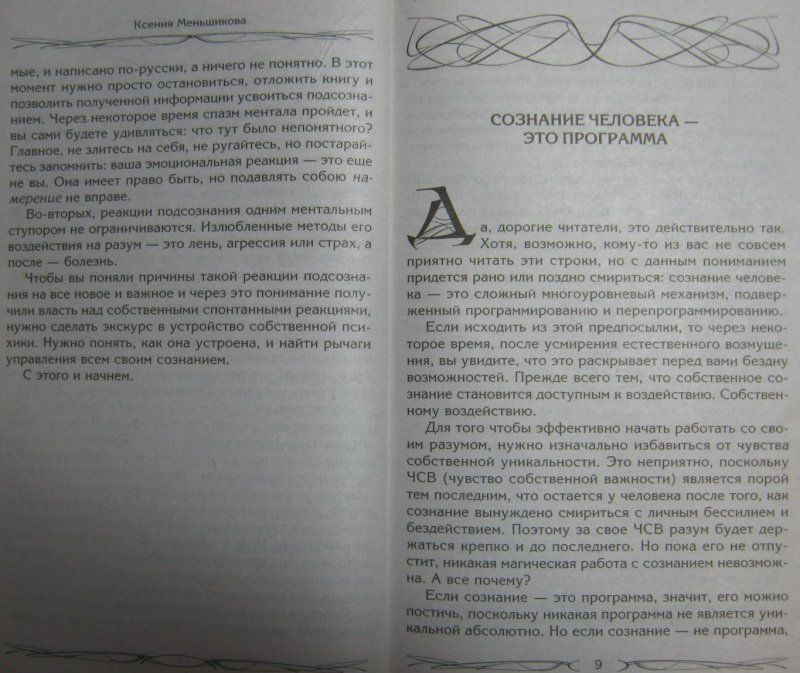 sozdanie mnogourovnevoy sredy obitaniya dlya vashey koshki klyuch k schastlivoy i zdorovoy zhizni