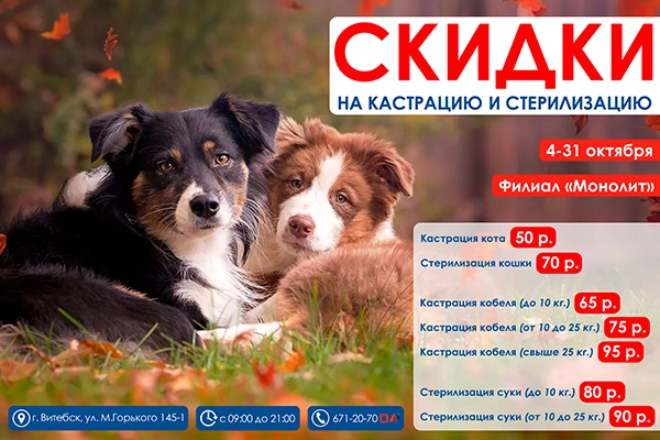 sterilizatsiya kastratsiya koshek eticheskiy aspekt za i protiv