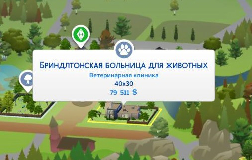 vazhnye momenty pri vybore veterinarnoy kliniki dlya vashey koshki sobaki