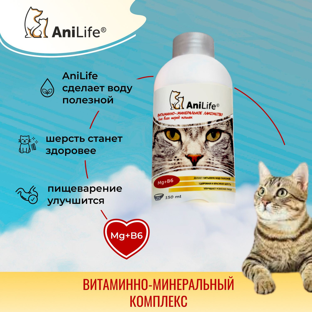 vitaminy i mineraly dlya veganskih koshek polnyy gayd dlya zabotlivyh vladeltsev